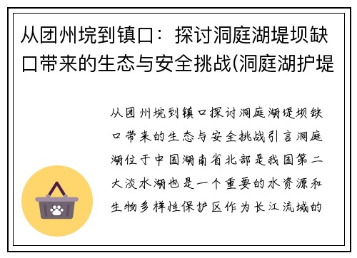 从团州垸到镇口：探讨洞庭湖堤坝缺口带来的生态与安全挑战(洞庭湖护堤工程是真的吗)