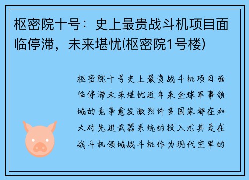 枢密院十号：史上最贵战斗机项目面临停滞，未来堪忧(枢密院1号楼)