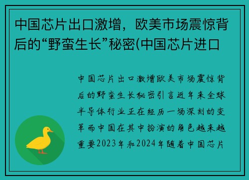 中国芯片出口激增，欧美市场震惊背后的“野蛮生长”秘密(中国芯片进口额)